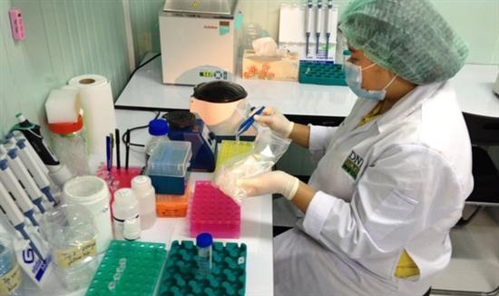 Các mẫu vật được xét nghiệm ADN trong Phòng thí nghiệm.