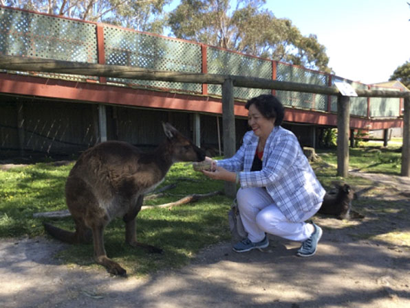 Kangaroo thú cưng, biểu tượng của nước Úc.