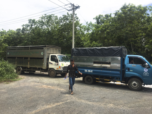 Xe chở heo dừng lại tại chốt thôn Chồi Đồng, xã Cù Bị để làm thủ tục kiểm dịch.
