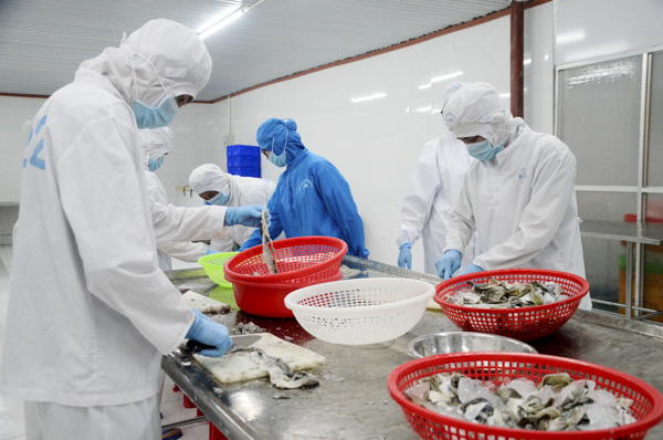 Công nhân Công ty Baseafood sơ chế da cá để sản xuất các sản phẩm da cá tẩm gia vị.