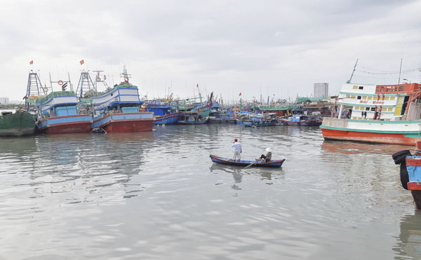 Môi trường trên kênh Bến Đình, đoạn trước Cảng cá Bến Đá đã được cải thiện rất nhiều so với trước đây.