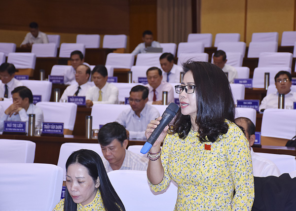 Bà Lê Thị Trang Đài, Giám đốc Sở LĐTBXH đề xuất các giải pháp hạn chế tình trạng xâm hại tình dục trẻ em. 