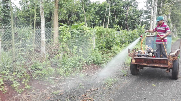 Anh Trần Văn Thiết phun xịt thuốc diệt cỏ trên tuyến đường  số 2, tổ 5 ấp Phú Lộc để hạn chế nơi trú ẩn của muỗi. 