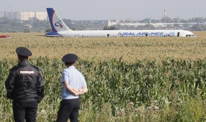 Chiếc A321 nằm gọn trên cánh đồng ngô. Ảnh: AP