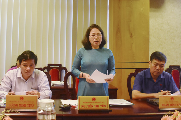 Bà Nguyễn Thị Yến, Phó Bí thư Thường trực Tỉnh ủy, Trưởng Đoàn Đại biểu Quốc hội tỉnh phát biểu tại buổi làm việc.