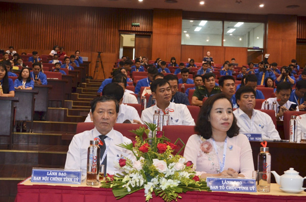 Lãnh đạo các Ban của Tỉnh ủy tham dự Đại hội. 