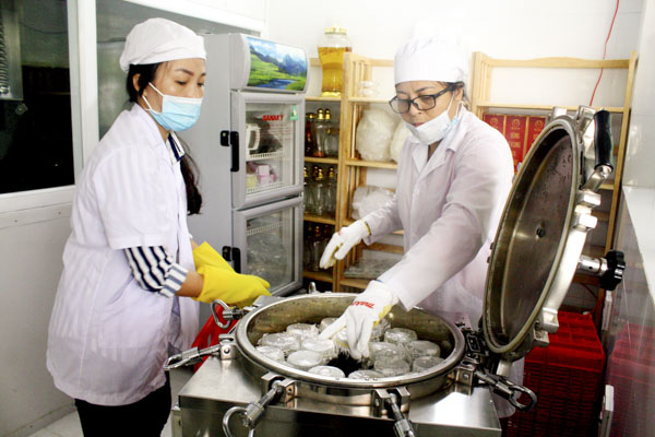Bà Cao Thị Hồng Vân (phải), Giám đốc Công ty TNHH Nuôi trồng nấm Hòa Long và nhân viên hấp giá thể nuôi nấm đông trùng hạ thảo tại xưởng. 