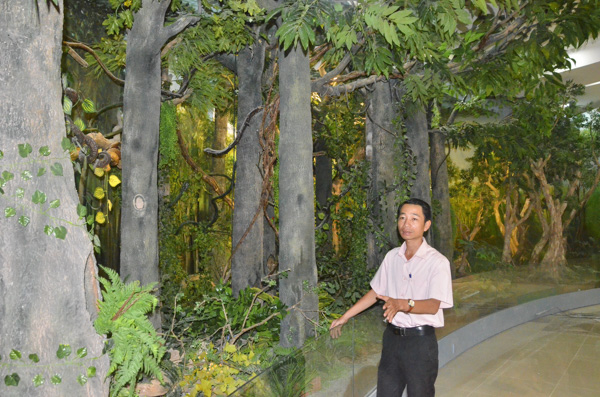Ông Đặng Tiến Năm, Phó Trưởng Phòng Nghiệp vụ, Bảo tàng tỉnh giới thiệu tổ hợp trưng bày  rừng Bình Châu - Phước Bửu tại Bảo tàng tỉnh.