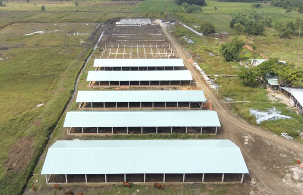 Trên khu đất 30ha tại thôn Nhân Thành, xã Quảng Thành, huyện Châu Đức, đã xây dựng một số công trình chuồng trại thuộc dự án chăn nuôi của Công ty Hưng Việt.