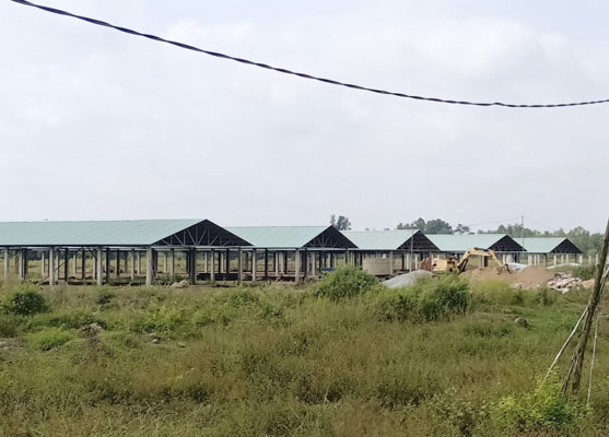 Công trình chuồng trại thuộc dự án chăn nuôi của Công ty Hưng Việt đã xây dựng.