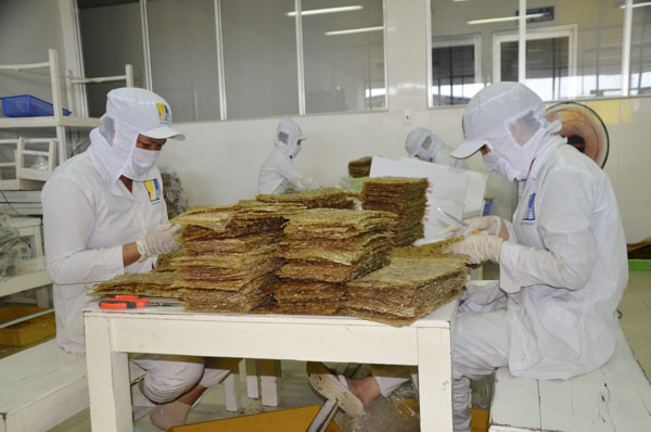 Công nhân Công ty CP sản xuất và thương mại Thuận Huệ sơ chế cá chai xuất khẩu tại xưởng.