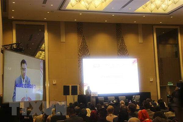 Chủ tịch SOM APEC 2020 Hairil Yahri Yaacob phát biểu tại phiên khai mạc ISOM ngày 9/12.