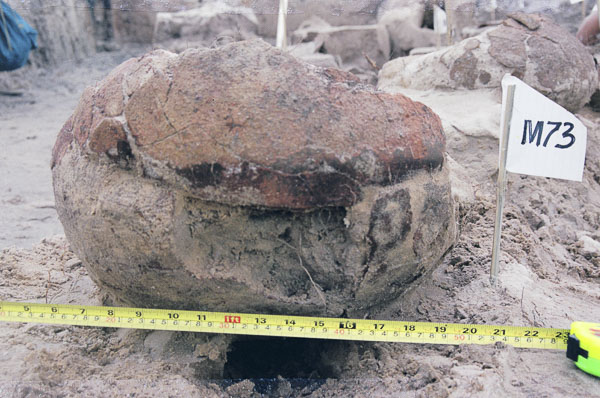Mộ vò cồn Hải Đăng xuất lộ trong quá trình khai quật.