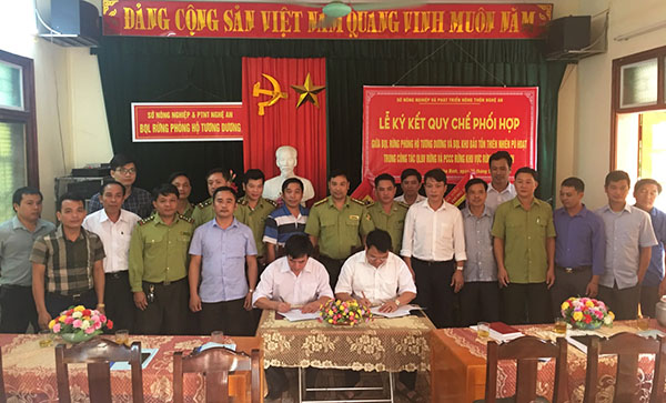Tăng cường quản lý, bảo vệ rừng, thực hiện nghiêm Luật Lâm nghiệp
