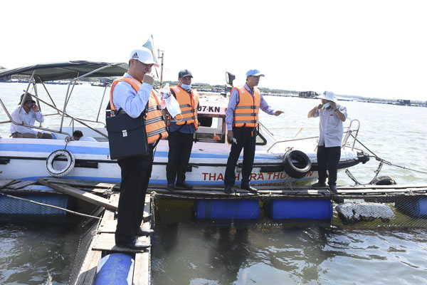 Ông Nguyễn Văn Thọ, Chủ tịch UBND tỉnh (thứ 2 từ phải qua) trao đổi với một hộ nuôi thủy sản lồng bè trên sông Dinh.