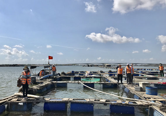 Đoàn khảo sát tham quan một hộ nuôi thủy sản trên sông Dinh.