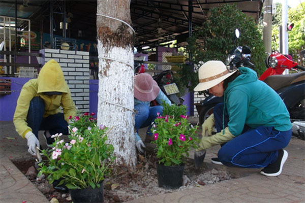 Phụ nữ Châu Đức trồng hoa dừa cạn trong bồn cây xanh trên đường Trần Hưng Đạo (khu vực TT.NgãiGiao), tạo cảnh quan xanh-sạch-đẹp.