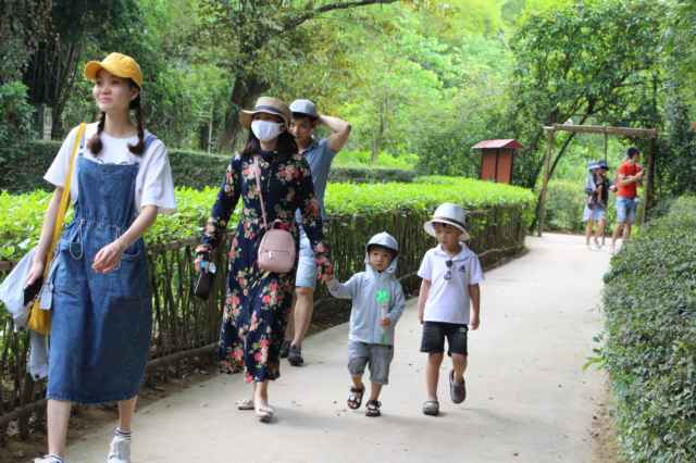 Dịp lễ 30/4, 1/5 năm nay lượng khách đến tham quan Khu di tích Kim Liên (Nam Đàn) giảm 50% so với năm trước. 