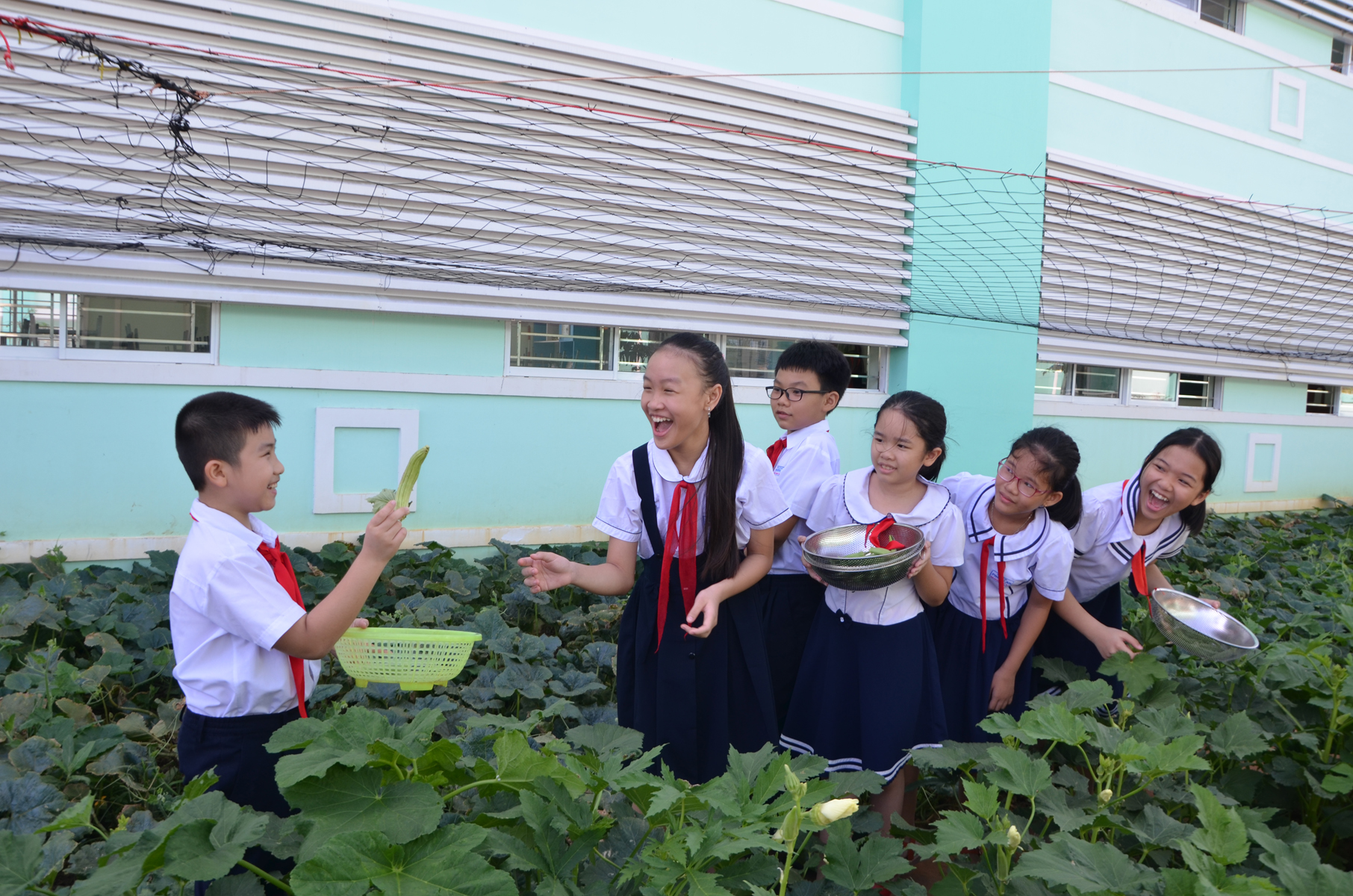 Các em HS lớp 5/1, Trường TH Phước An trong bài học về cây đậu bắp.