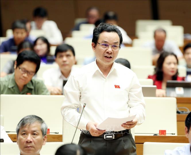 Đại biểu Quốc hội thành phố Hà Nội Hoàng Văn Cường phát biểu.
