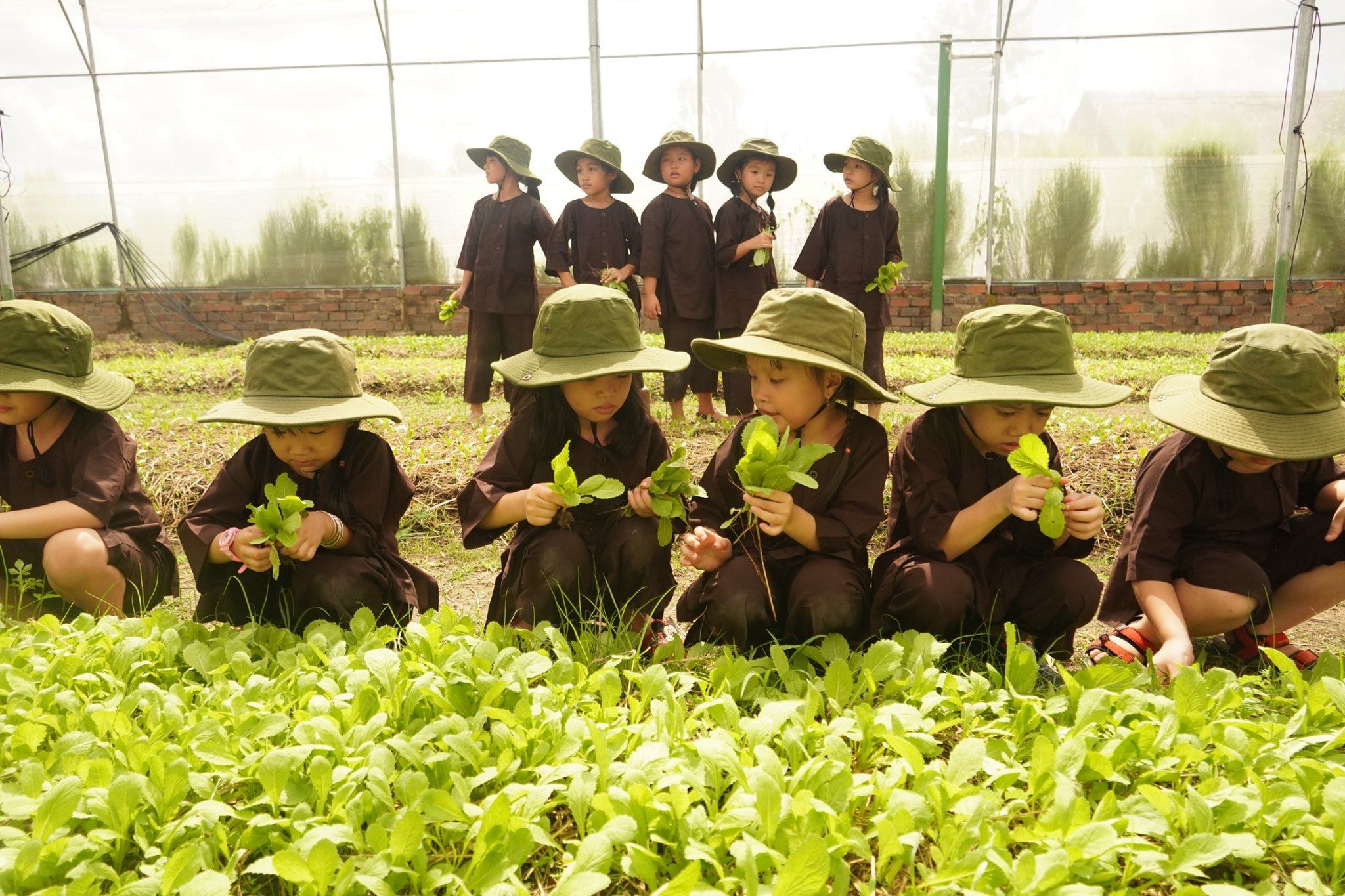 Thiếu nhi trải nghiệm thu hoạch rau tại nông trại Eco Tân Hưng (phường Tân Hưng, TP. Bà Rịa).