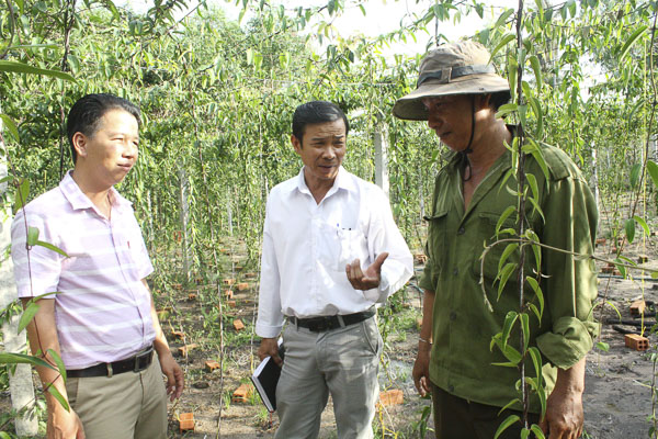 Hội Nông dân xã Phước Hội trao đổi kỹ thuật trồng khoai mài  với anh Thiềm Văn Dễ. 