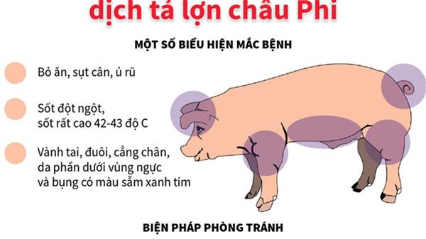 Bệnh dịch tả lợn châu Phi là bệnh truyền nhiễm nguy hiểm,                                              có tốc độ lây lan nhanh