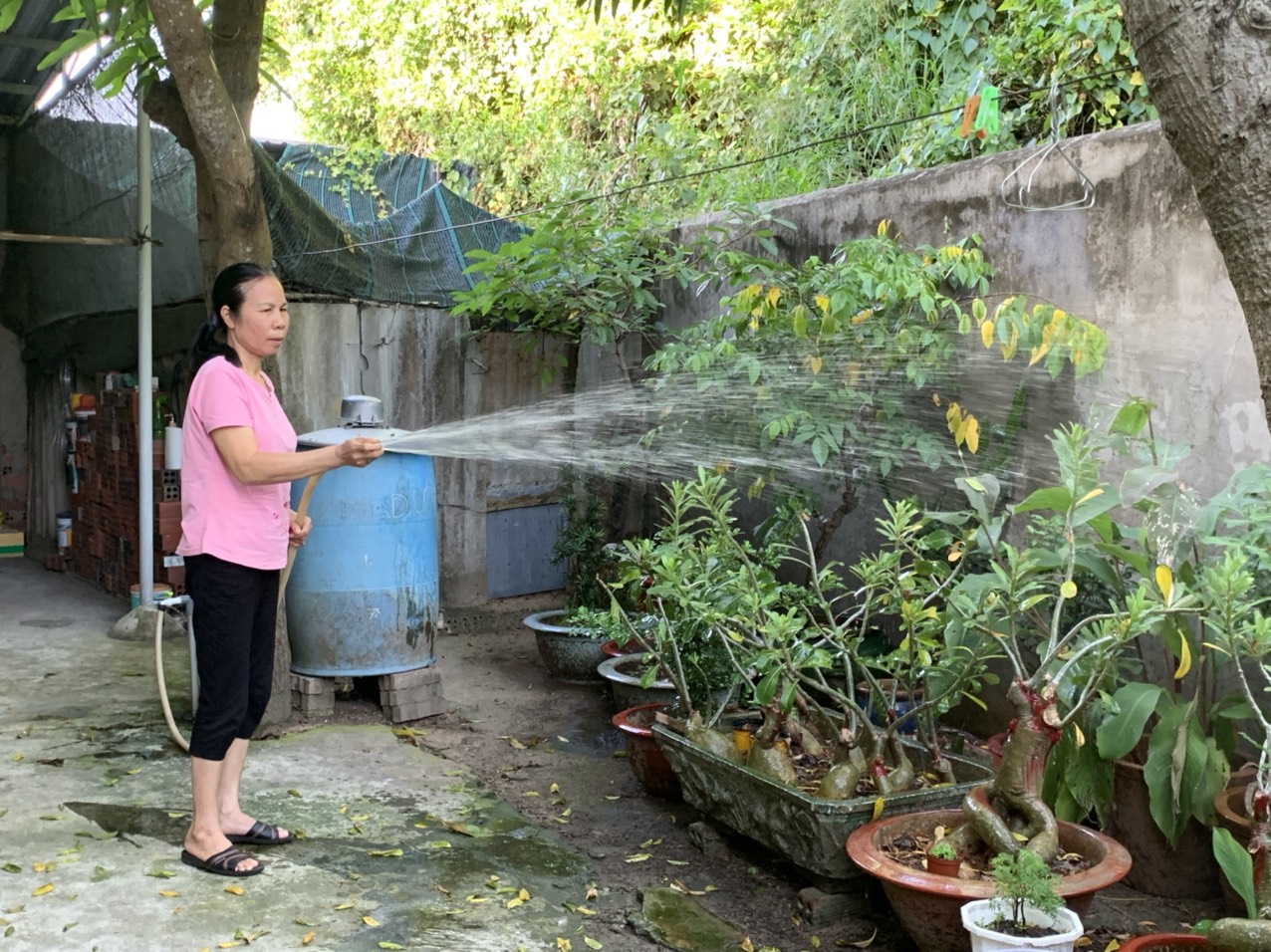 Bà Nguyễn Thanh Mỹ (58 tuổi, ngụ 225/14, Lưu Chí Hiếu, phường 10, TP Vũng Tàu) được lãnh lương hưu sau khi đóng đủ BHXH tự nguyện.