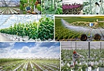 Chương trình quốc gia phát triển công nghệ cao đến năm 2030