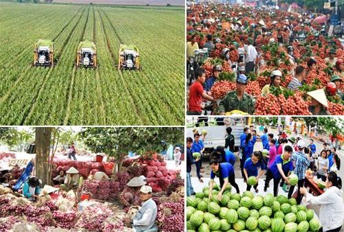 Ngành nông nghiệp đang rốt ráo thúc đẩy XK ngay từ đầu năm để hướng tới mục tiêu XK khá cao là 44 tỷ USD năm 2021.