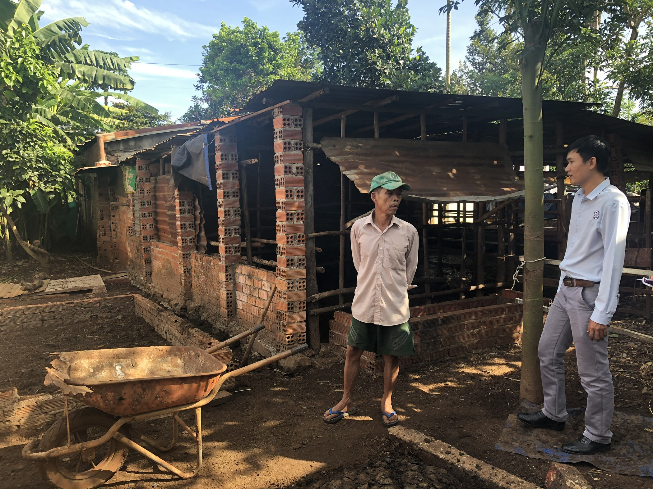 Chuồng bò của gia đình ông Trần Thanh Bình được thiết kế hở, không có hệ thống xử lý chất thải  nên gây mùi hôi, ảnh hưởng môi trường sống của người dân.