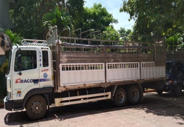 Hiện, Cơ quan cảnh sát điều tra Công an huyện Quỳ Hợp đã lập biên bản, làm việc với đối tượng liên quan tạm giữ toàn bộ số quặng thiếc, phương tiện  để tiếp tục điều tra, làm rõ.