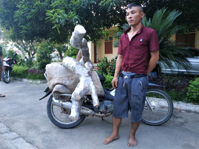 Đối tượng Nguyễn Công Hoàn vừa bị Công an huyện Đô Lương bắt giữ vì gây ra 03 vụ hành vi trộm cây cảnh trên địa bàn