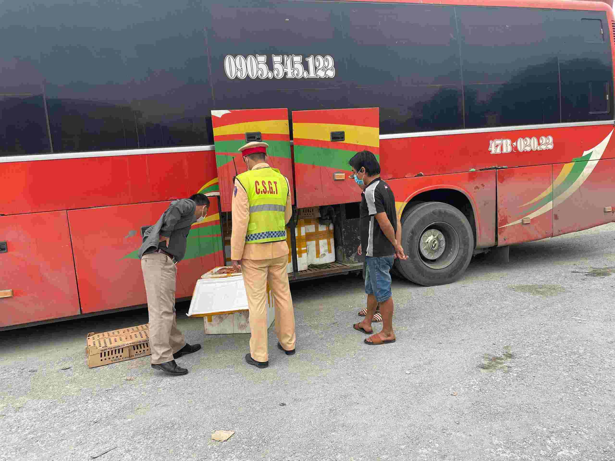Lô hàng được giấu trong khoang hành lý