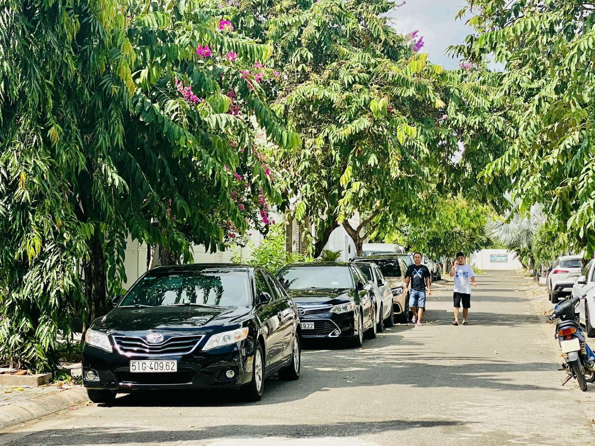 Xe khách du lịch đậu đầy dọc đường Thùy Dương 3 (khu biệt thự Thanh Bình, phường 10) ảnh hưởng đến việc lưu thông xe cộ của người dân sống trong khu dân cư này.