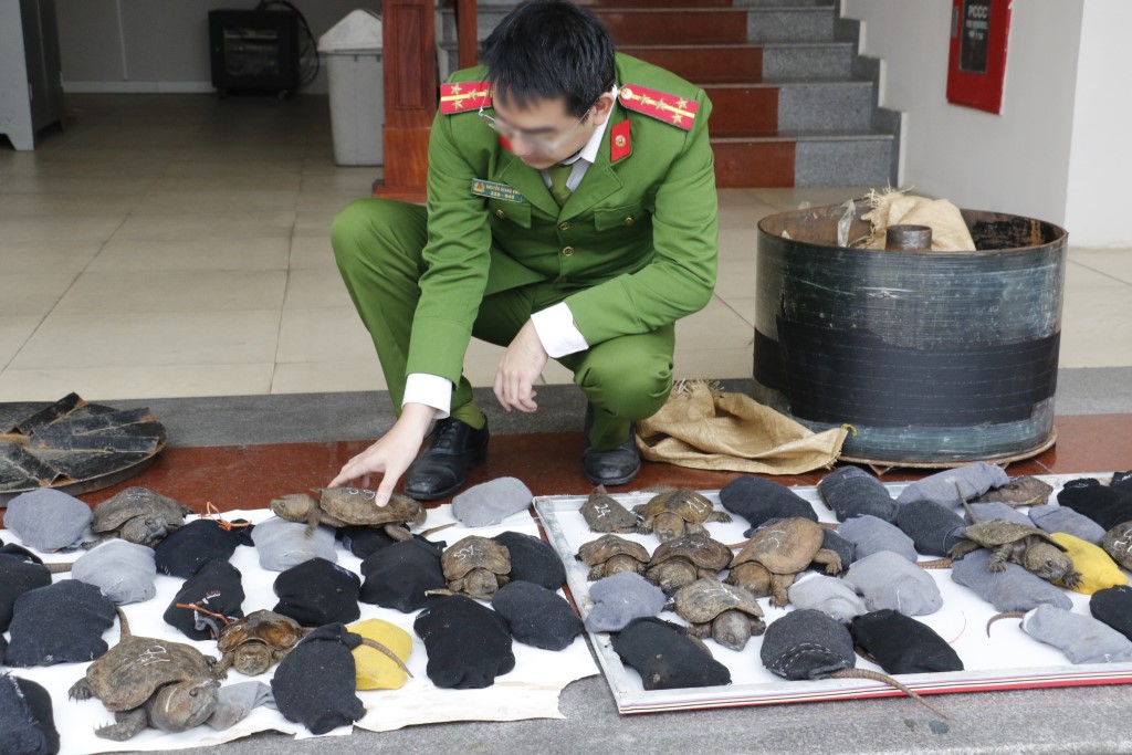 Tang vật vụ án
