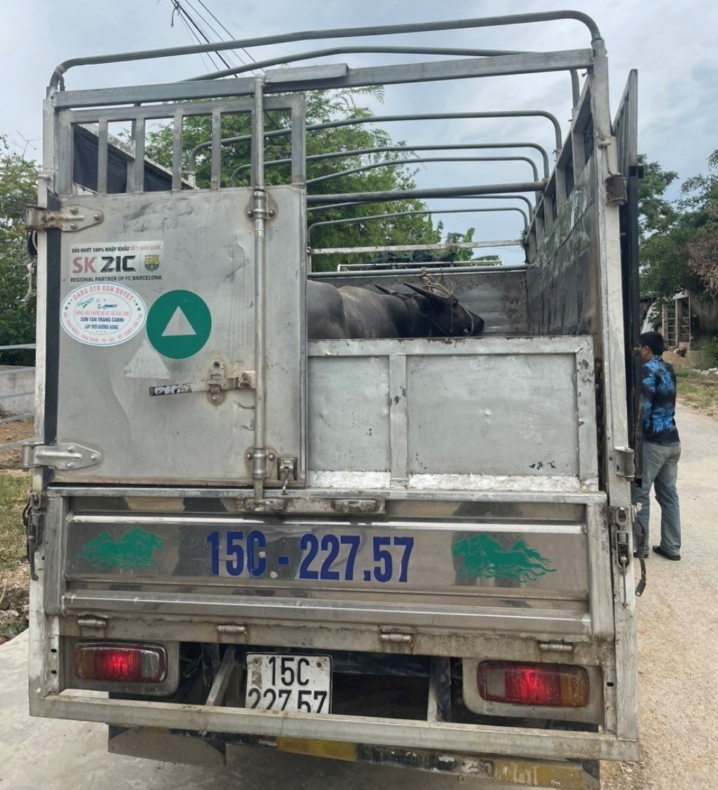 Tang vật vụ án