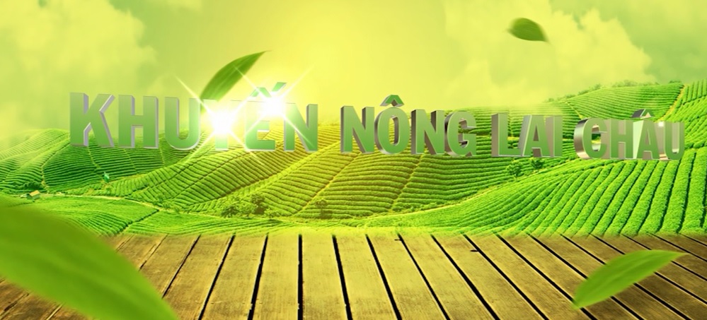 Khuyến nông Lai Châu, ngày 28-08-2023