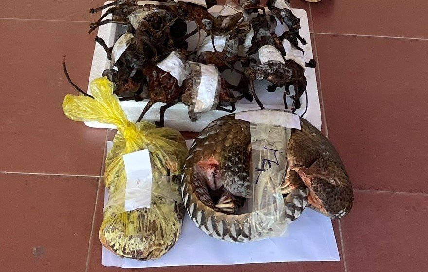 Tang vật Cơ quan Công an thu giữ