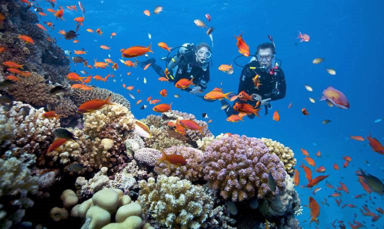 Du khách trải nghiệm loại hình lặn biển ngắm san hô tại Côn Đảo.