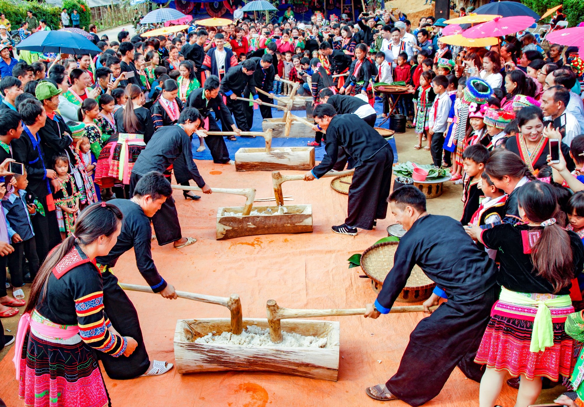 Giã bánh giầy là một trong những nghi thức đầu Xuân năm mới của đồng bào dân tộc ở Tây Bắc.