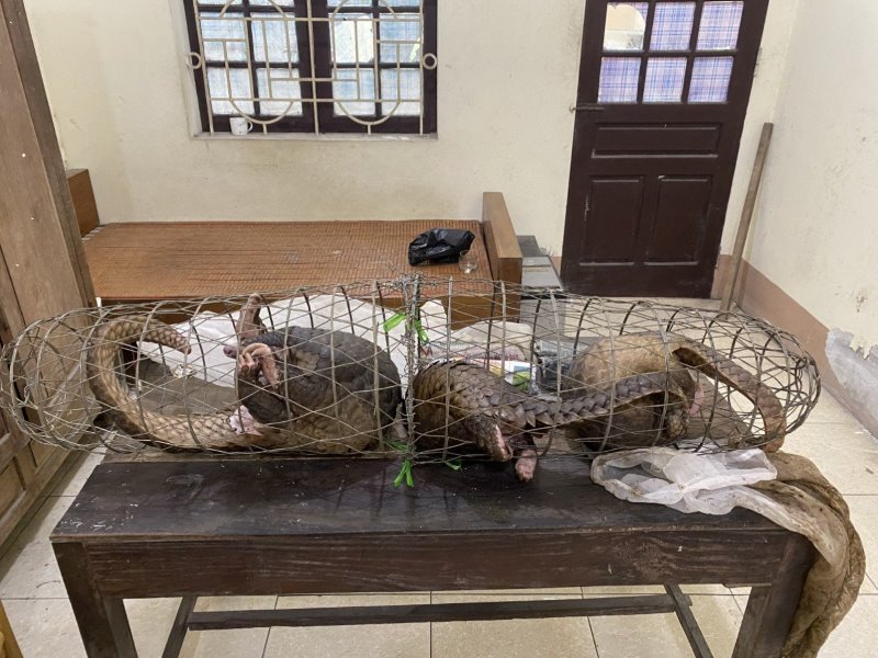 02 đối tượng cùng phương tiện và tang vật