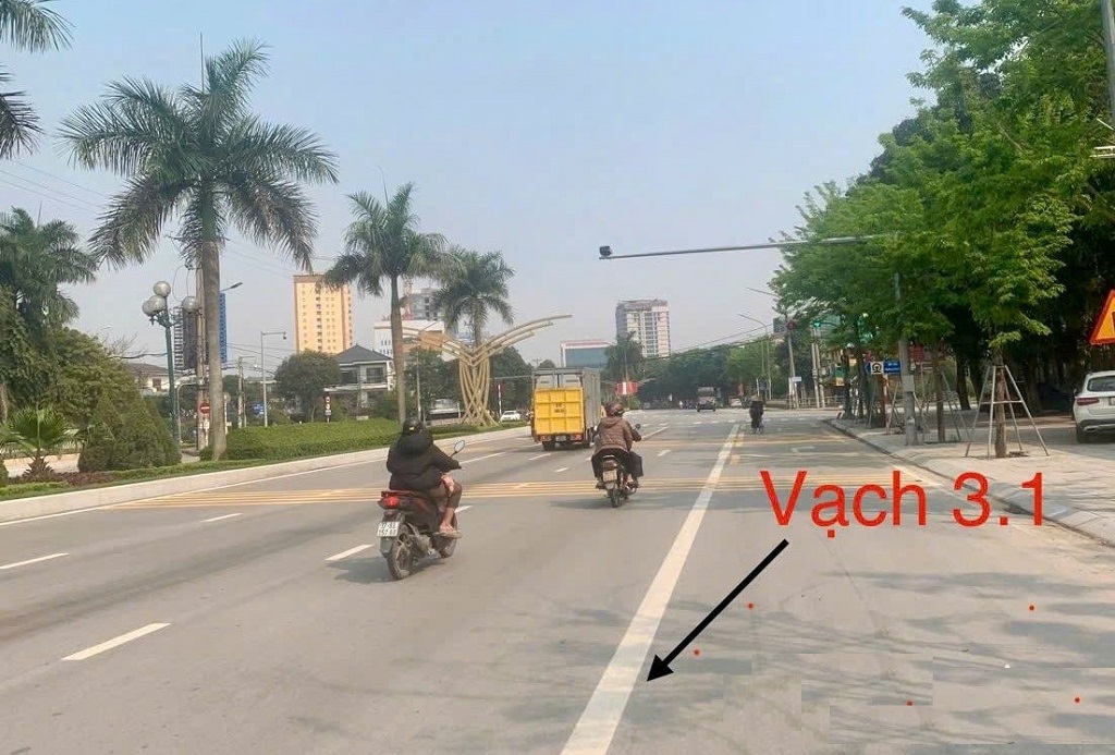 Vạch 3.1 (Ảnh chụp tại Đại lộ Lê Nin)
