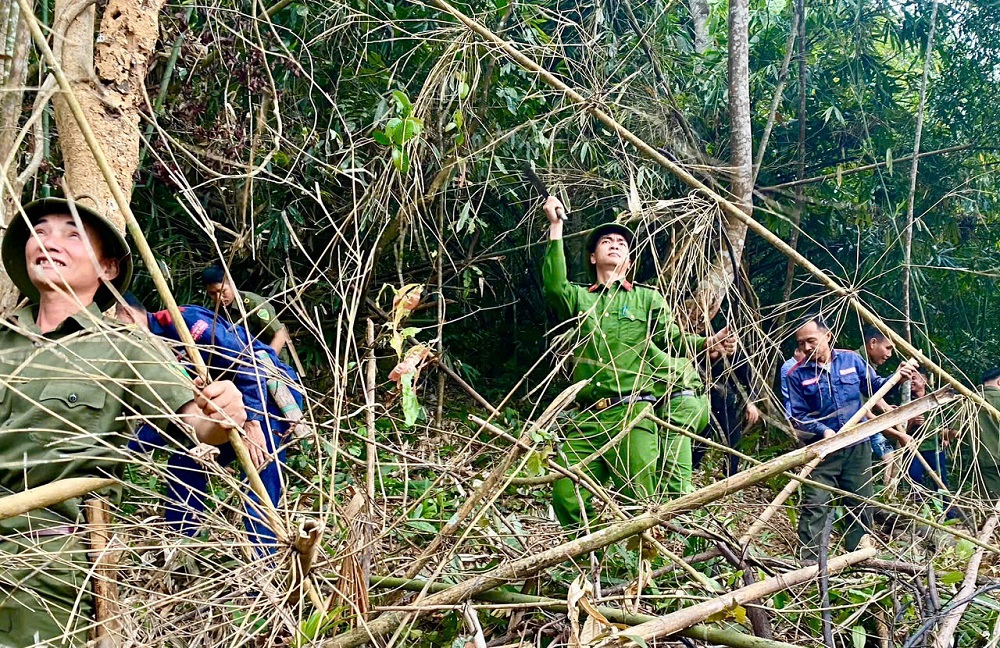 Các lực lượng tham gia phát dọn thực bì, tạo đường ranh cản lửa