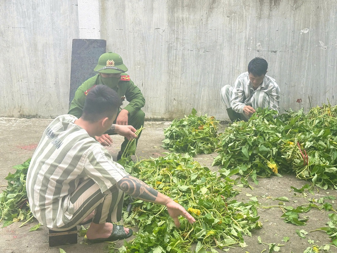 Các phạm nhân cải tạo tốt, mong muốn sớm được trở về đoàn tụ với gia đình