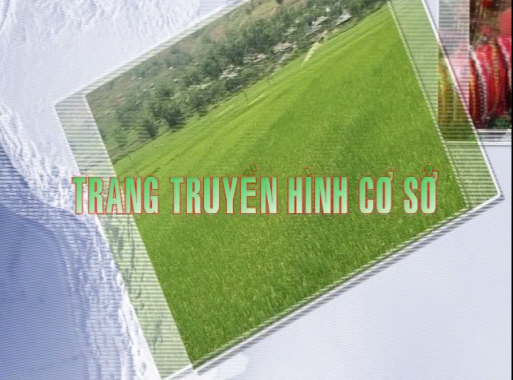 Trang truyền hình cơ sở 17-10-2025