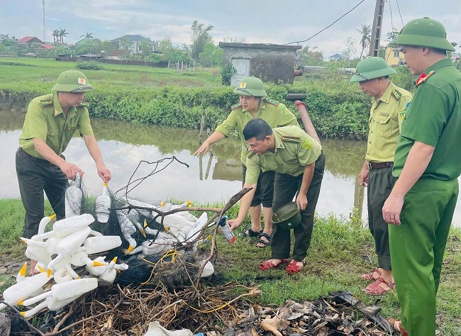 Lực lượng chức năng tháo dỡ, tiêu hủy hình nộm chim mồi cùng các loại bẫy săn chim trời.