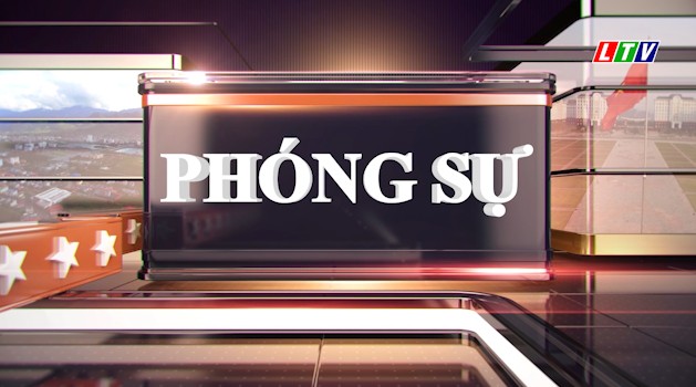 HOA ANH ĐÀO NỞ GIỮA LAI CHÂU 07-06-2026