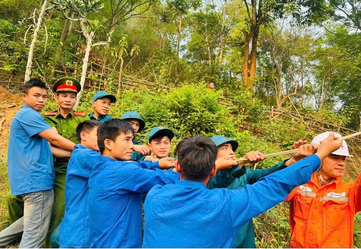 Phát quang cây cối khu vực hành lang an toàn lưới điện
