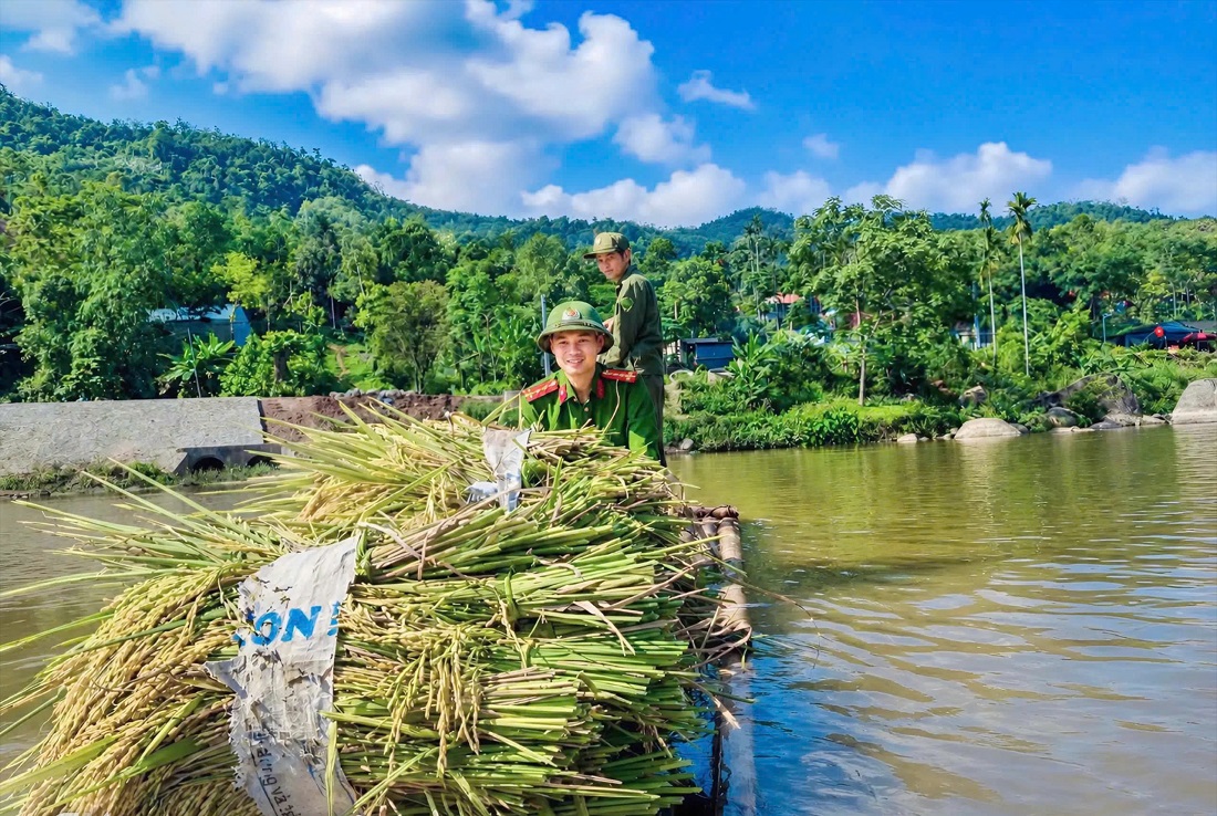 Công an xã Tiền Phòng giúp gia đình ông Tuyết gặt và vận chuyển lúa về nhà
